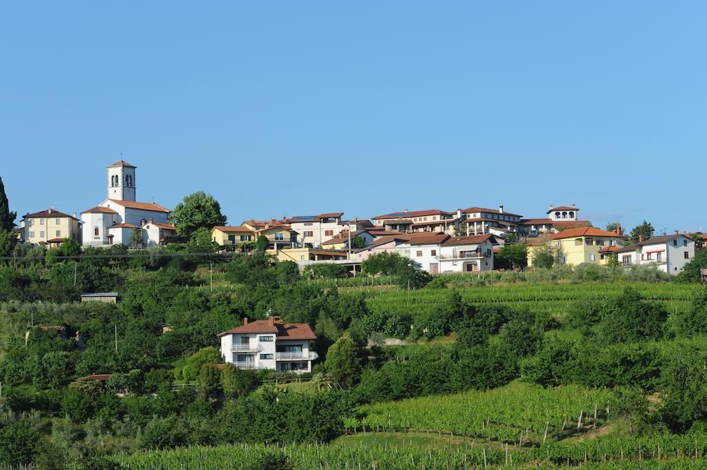 Bed & Breakfast Belica 3*